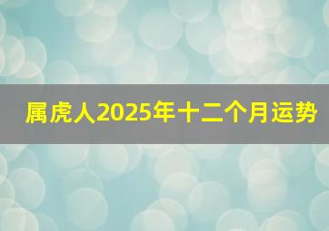 属虎人2025年十二个月运势