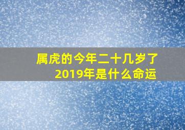 属虎的今年二十几岁了2019年是什么命运