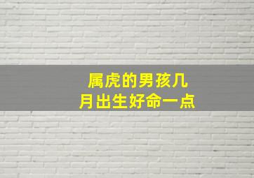 属虎的男孩几月出生好命一点