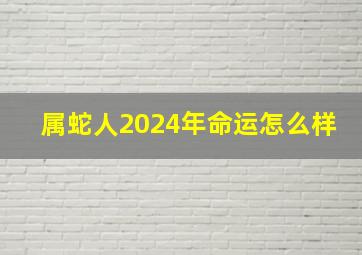 属蛇人2024年命运怎么样