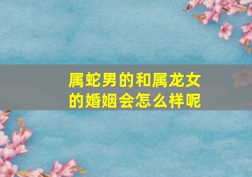 属蛇男的和属龙女的婚姻会怎么样呢