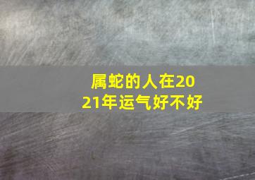 属蛇的人在2021年运气好不好