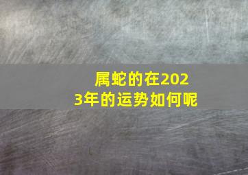 属蛇的在2023年的运势如何呢