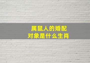 属鼠人的婚配对象是什么生肖