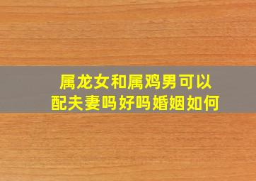 属龙女和属鸡男可以配夫妻吗好吗婚姻如何