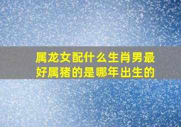 属龙女配什么生肖男最好属猪的是哪年出生的