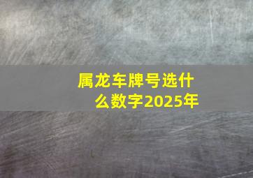 属龙车牌号选什么数字2025年