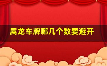 属龙车牌哪几个数要避开