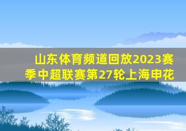 山东体育频道回放2023赛季中超联赛第27轮上海申花