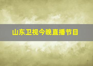 山东卫视今晚直播节目