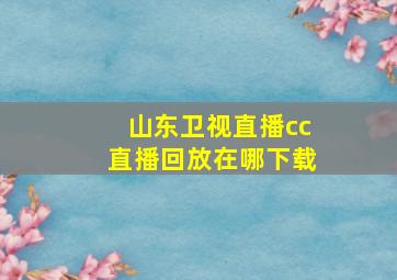 山东卫视直播cc直播回放在哪下载