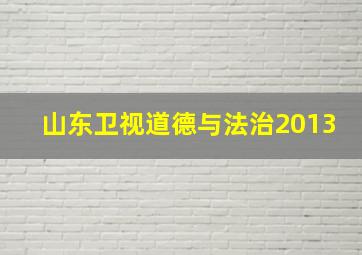 山东卫视道德与法治2013