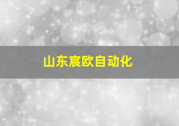 山东宸欧自动化