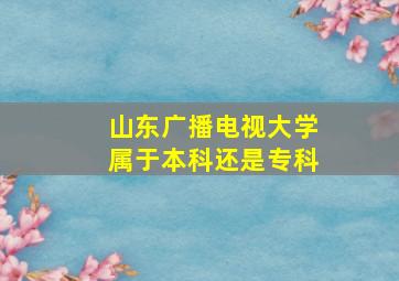 山东广播电视大学属于本科还是专科