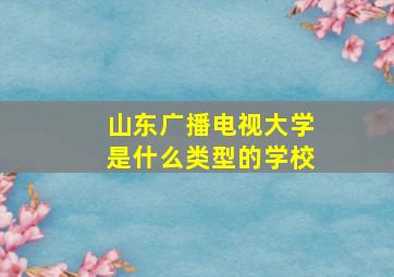 山东广播电视大学是什么类型的学校