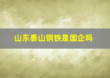 山东泰山钢铁是国企吗