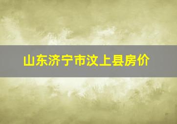 山东济宁市汶上县房价