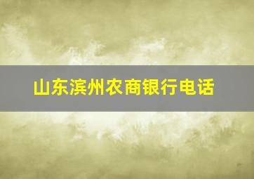 山东滨州农商银行电话