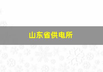 山东省供电所