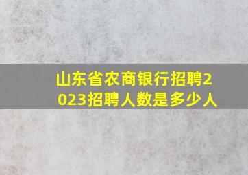 山东省农商银行招聘2023招聘人数是多少人