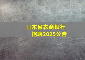 山东省农商银行招聘2025公告