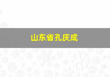 山东省孔庆成