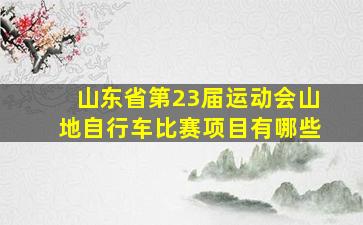 山东省第23届运动会山地自行车比赛项目有哪些