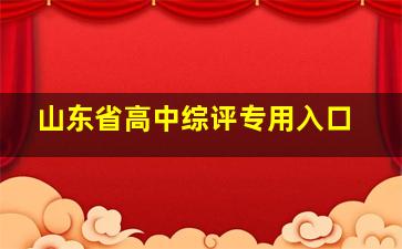 山东省高中综评专用入口