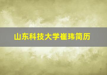 山东科技大学崔玮简历