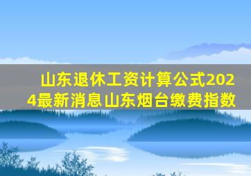 山东退休工资计算公式2024最新消息山东烟台缴费指数