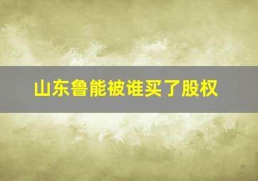 山东鲁能被谁买了股权