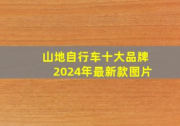 山地自行车十大品牌2024年最新款图片