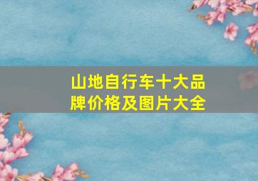 山地自行车十大品牌价格及图片大全