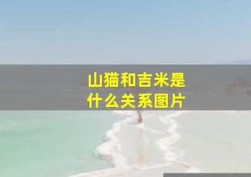 山猫和吉米是什么关系图片