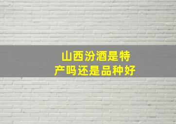 山西汾酒是特产吗还是品种好