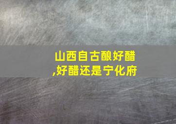 山西自古酿好醋,好醋还是宁化府