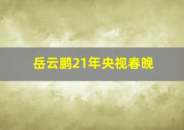 岳云鹏21年央视春晚