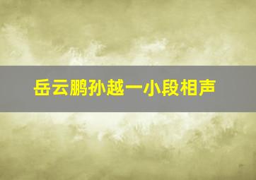 岳云鹏孙越一小段相声