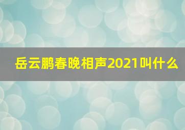 岳云鹏春晚相声2021叫什么