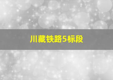 川藏铁路5标段