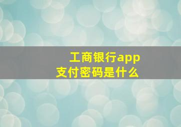 工商银行app支付密码是什么