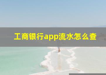 工商银行app流水怎么查