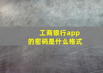 工商银行app的密码是什么格式