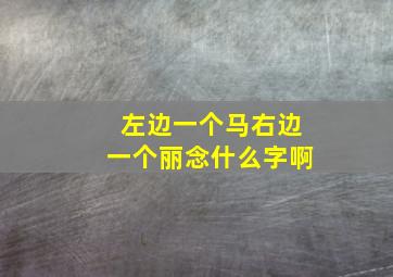 左边一个马右边一个丽念什么字啊