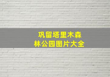 巩留塔里木森林公园图片大全