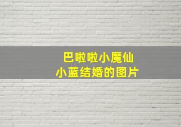 巴啦啦小魔仙小蓝结婚的图片