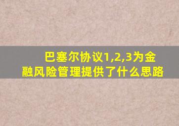 巴塞尔协议1,2,3为金融风险管理提供了什么思路