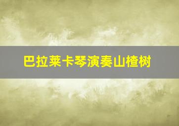 巴拉莱卡琴演奏山楂树