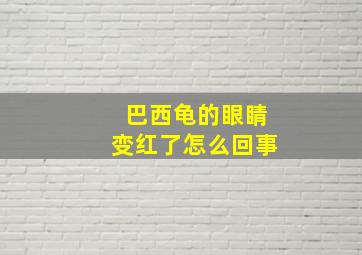 巴西龟的眼睛变红了怎么回事