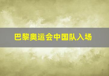 巴黎奥运会中国队入场